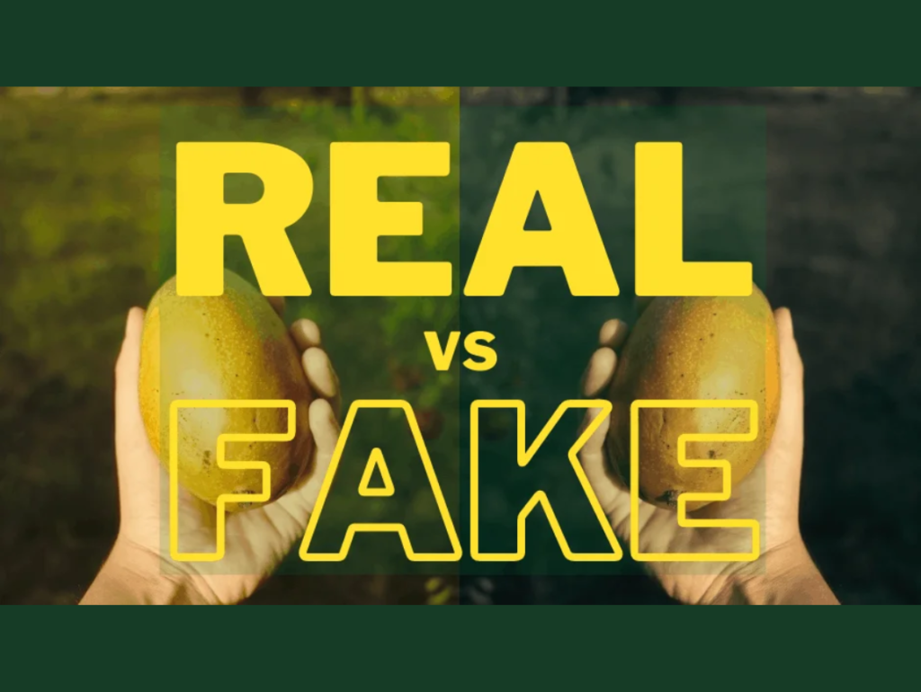 Real Vs Fake Mangoes