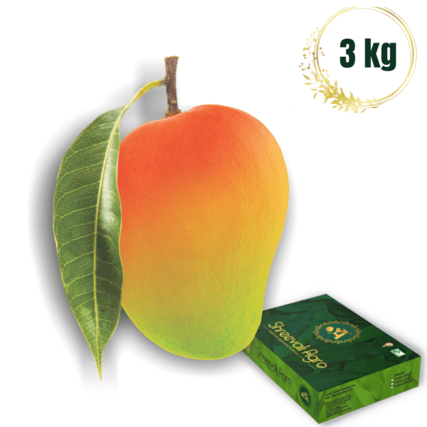 Premium Alhonso Mango Mango..uum Mangouum Mangoyum Shreevali Agro Devgad Ratnagiri
