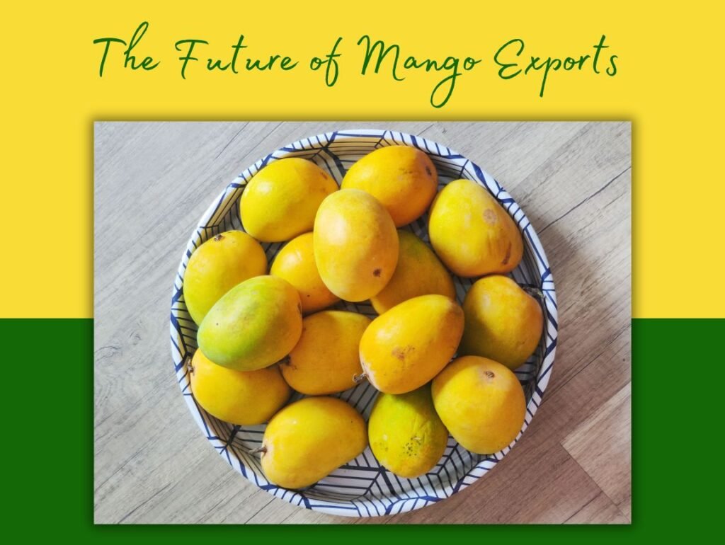 The Future of Mango Exports