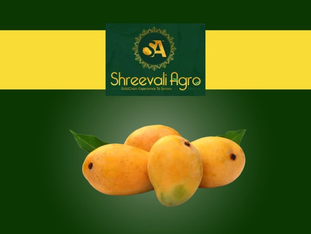 Indian Mango Exporters