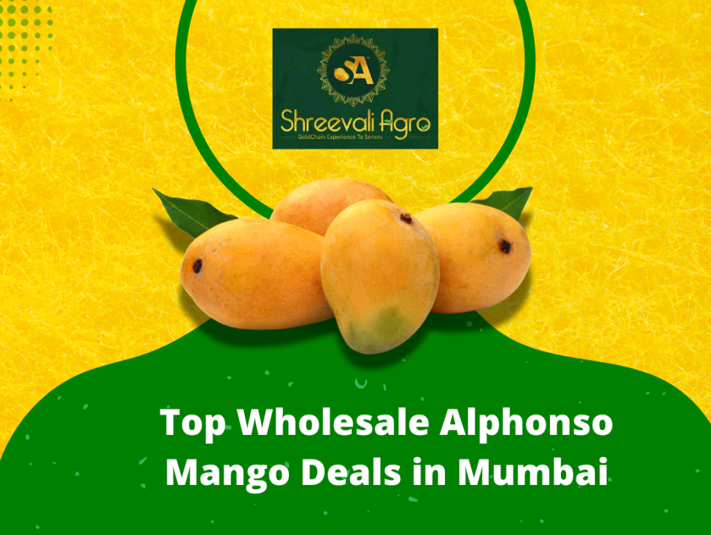 Top Wholesale Alphonso Mango Deals in Mumbai