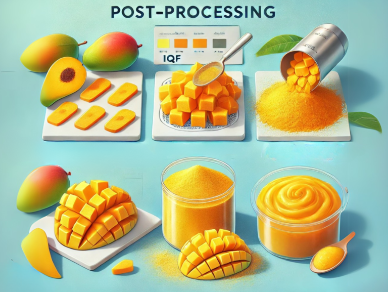 Different Mango Post-Processing Methods: Freeze Drying, IQF, Spray Drying, and Pulping