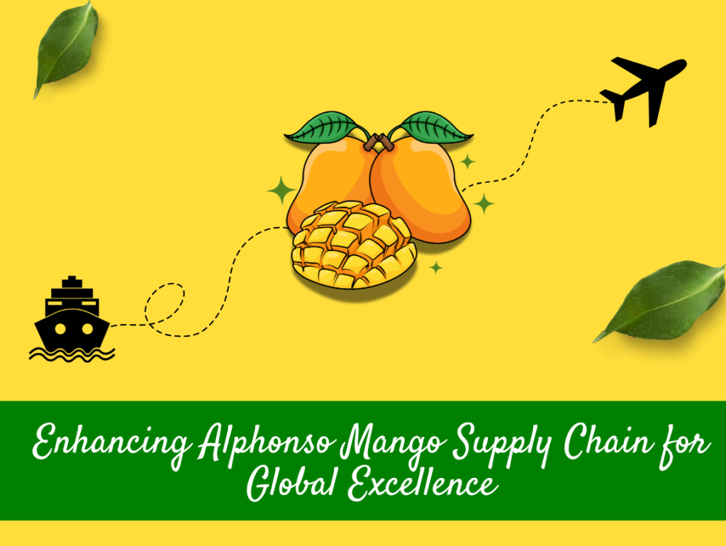 Mango Supply Chain